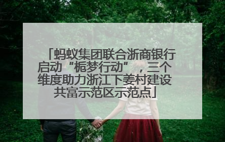 蚂蚁集团联合浙商银行启动“栀梦行动”，三个维度助力浙江下姜村建设共富示范区示范点