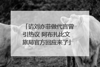 请刘亦菲做代言曾引热议 阿布扎比文旅局官方回应来了