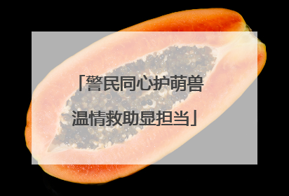 警民同心护萌兽 温情救助显担当