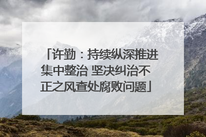 许勤：持续纵深推进集中整治 坚决纠治不正之风查处腐败问题