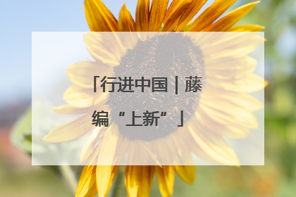 行进中国｜藤编“上新”