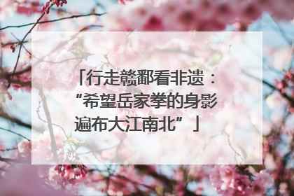 行走赣鄱看非遗：“希望岳家拳的身影遍布大江南北”