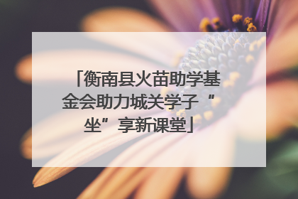 衡南县火苗助学基金会助力城关学子“坐”享新课堂