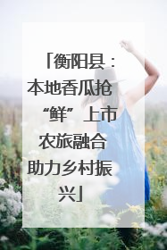 衡阳县：本地香瓜抢“鲜”上市 农旅融合助力乡村振兴
