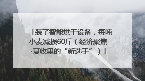 装了智能烘干设备，每吨小麦减损60斤（经济聚焦·夏收里的“新选手”）