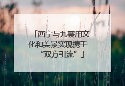 西宁与九寨用文化和美景实现携手“双方引流”