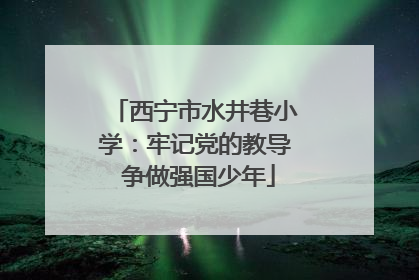 西宁市水井巷小学：牢记党的教导 争做强国少年