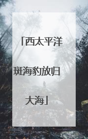 西太平洋斑海豹放归大海