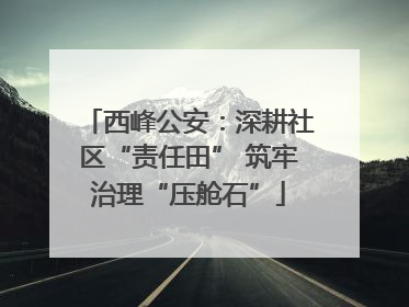 西峰公安：深耕社区“责任田” 筑牢治理“压舱石”