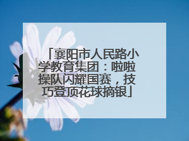 襄阳市人民路小学教育集团：啦啦操队闪耀国赛，技巧登顶花球摘银