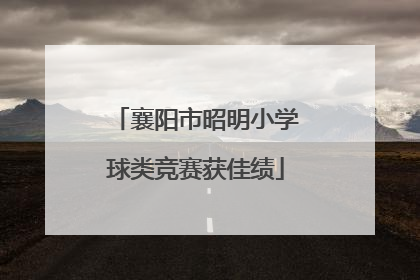 襄阳市昭明小学球类竞赛获佳绩