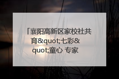 襄阳高新区家校社共育"七彩"童心 专家团支招智慧育儿