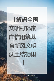 解码全国文明村孙家庄信用筑基育新风文明沃土结硕果