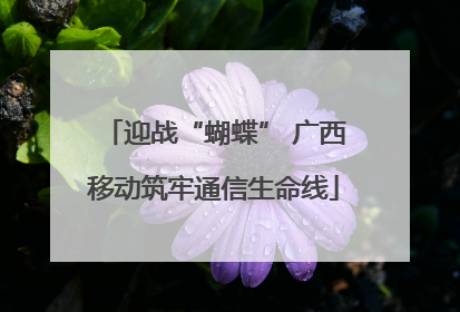 迎战“蝴蝶” 广西移动筑牢通信生命线
