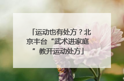 运动也有处方？北京丰台“武术进家庭”教开运动处方