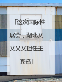 这次国际性展会，湖北又又又又担任主宾省