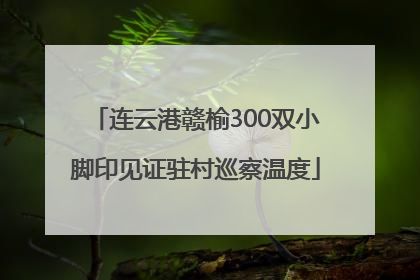 连云港赣榆300双小脚印见证驻村巡察温度