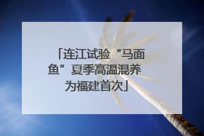 连江试验“马面鱼”夏季高温混养 为福建首次