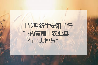 转型新生安阳“行”·内黄篇丨农业县有“大智慧”