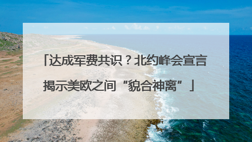 达成军费共识？北约峰会宣言揭示美欧之间“貌合神离”