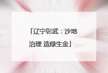 辽宁彰武：沙地治理 造绿生金