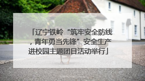 辽宁铁岭“筑牢安全防线，青年勇当先锋”安全生产进校园主题团日活动举行