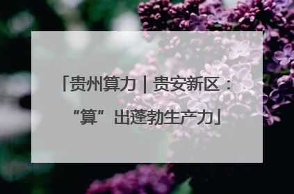 贵州算力｜贵安新区：“算”出蓬勃生产力
