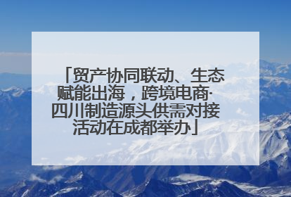 贸产协同联动、生态赋能出海，跨境电商·四川制造源头供需对接活动在成都举办