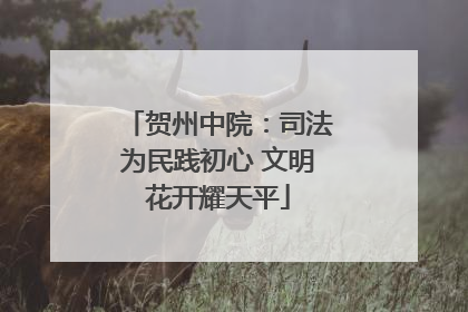 贺州中院：司法为民践初心 文明花开耀天平