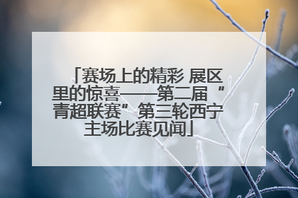 赛场上的精彩 展区里的惊喜——第二届“青超联赛”第三轮西宁主场比赛见闻