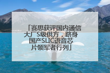 赛思获评国内通信大厂S级供方，跻身国产SLIC语音芯片领军者行列