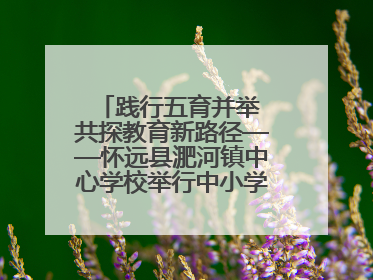 践行五育并举 共探教育新路径——怀远县淝河镇中心学校举行中小学、幼儿园班主任论坛活动