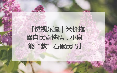透视东瀛｜米价拖累自民党选情，小泉能“救”石破茂吗