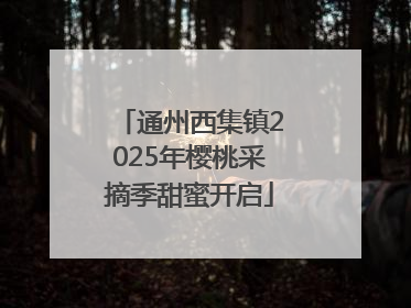 通州西集镇2025年樱桃采摘季甜蜜开启