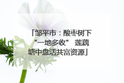 邹平市：酸枣树下“一地多收” 莲藕塘中盘活共富资源