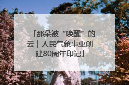 那朵被“唤醒”的云｜人民气象事业创建80周年印记