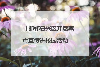 邯郸复兴区开展禁毒宣传进校园活动