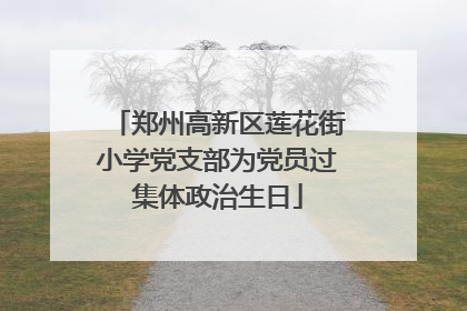 郑州高新区莲花街小学党支部为党员过集体政治生日