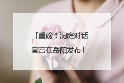 重磅！洞庭对话宣言在岳阳发布