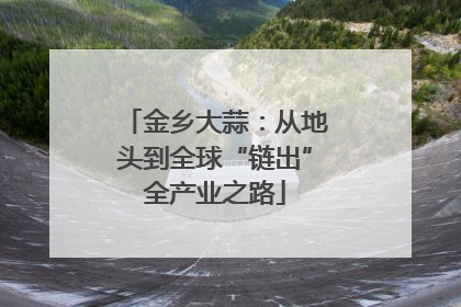 金乡大蒜：从地头到全球“链出”全产业之路