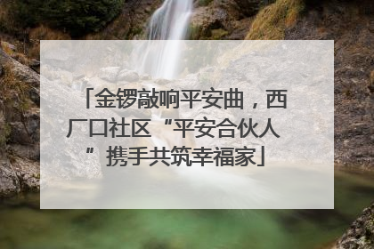 金锣敲响平安曲，西厂口社区“平安合伙人”携手共筑幸福家