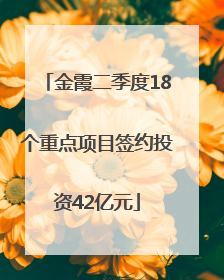 金霞二季度18个重点项目签约投资42亿元