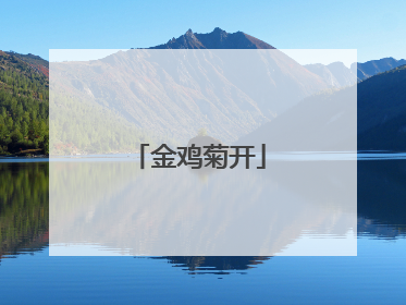 金鸡菊开