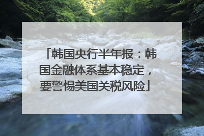 韩国央行半年报：韩国金融体系基本稳定，要警惕美国关税风险
