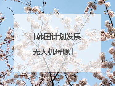 韩国计划发展无人机母舰
