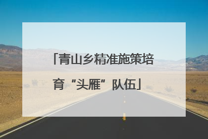 青山乡精准施策培育“头雁”队伍