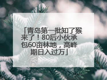 青岛第一批知了猴来了！80后小伙承包60亩林地，高峰期日入过万