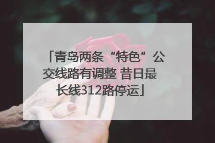 青岛两条“特色”公交线路有调整 昔日最长线312路停运