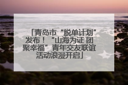 青岛市“脱单计划”发布！“山海为证 团聚幸福”青年交友联谊活动浪漫开启