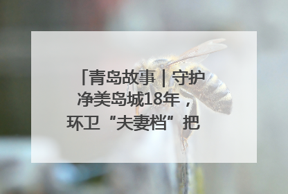青岛故事｜守护净美岛城18年，环卫“夫妻档”把青岛当第二个家